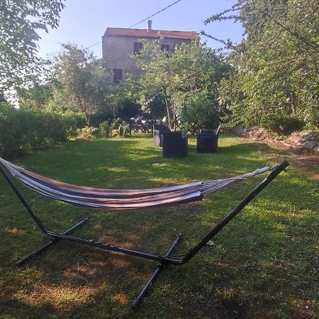 شقة Sole E Ventu 50Qm San-Giovanni-di-Moriani المظهر الخارجي الصورة
