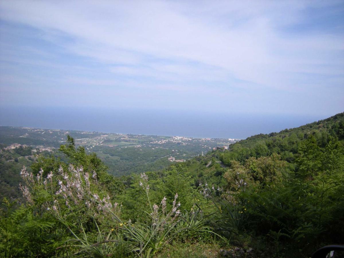 شقة Sole E Ventu 50Qm San-Giovanni-di-Moriani المظهر الخارجي الصورة